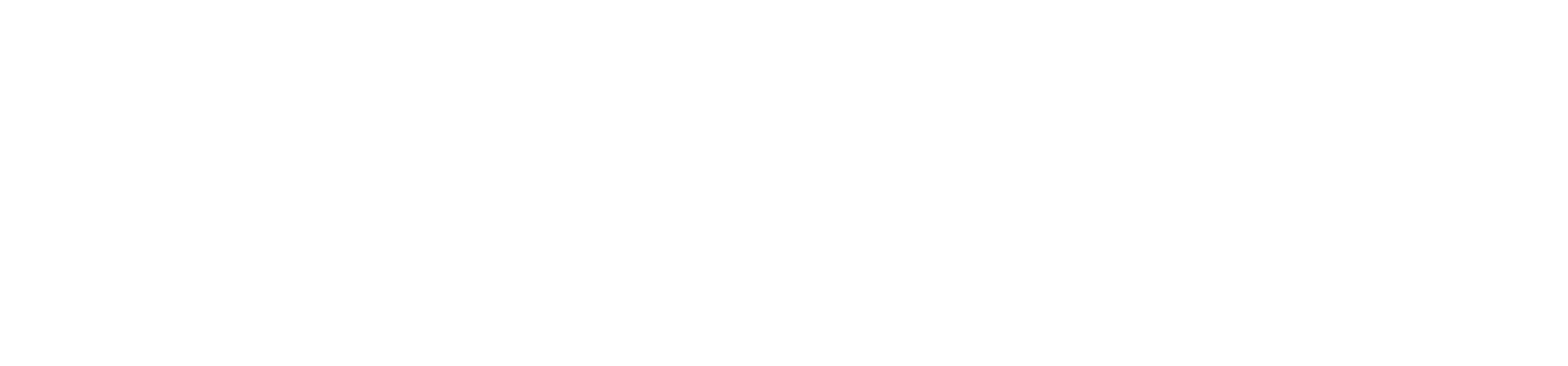 OSMO logo